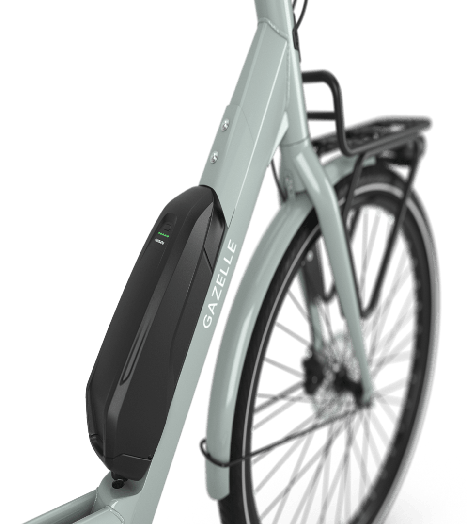 Designed for heavy loads Gazelle Bloom C7 E-bike low-step light olive