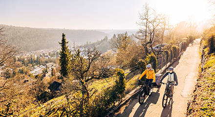 FOCUS Bikes 