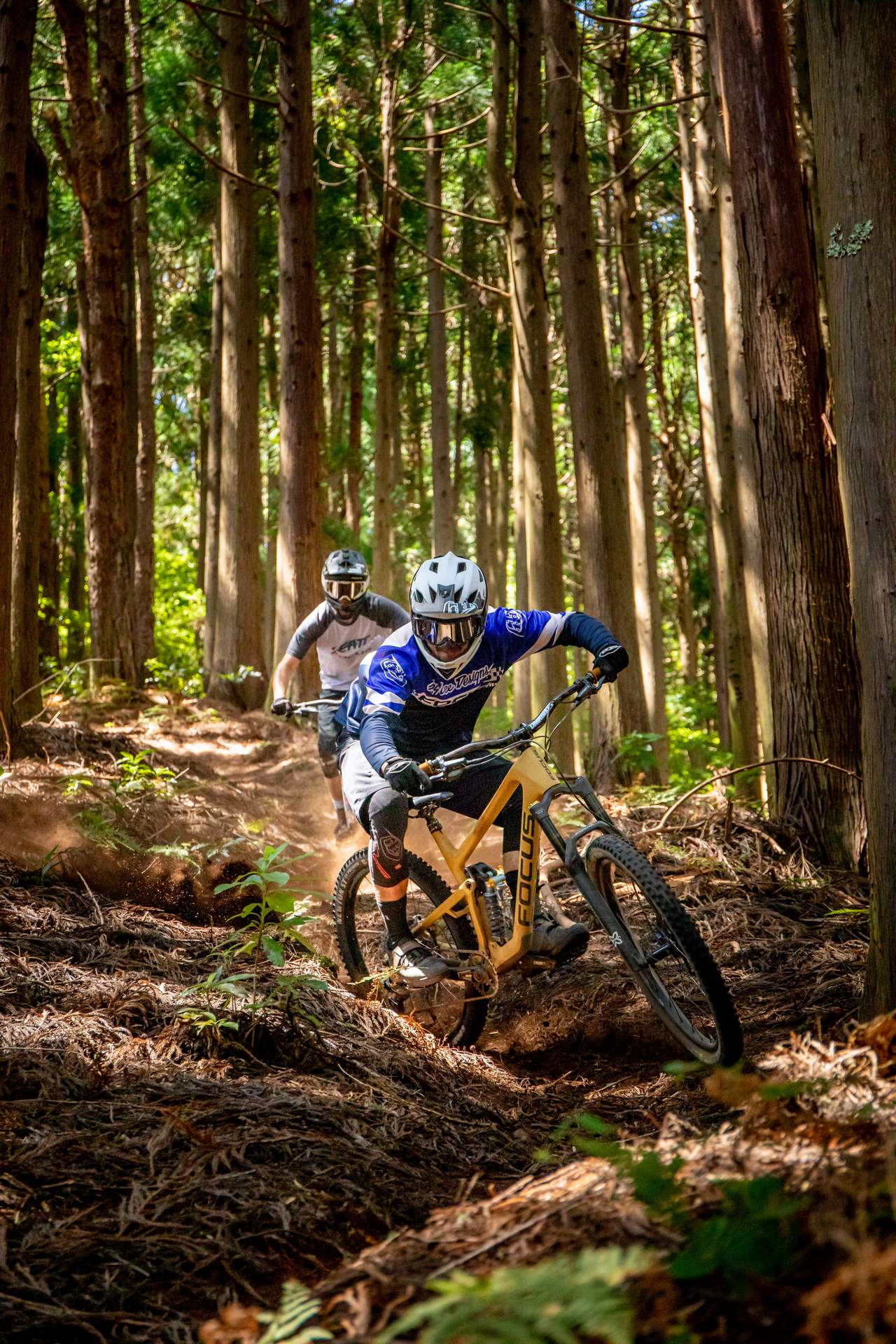 Behind the scenes Focus Trail Team on Madeira