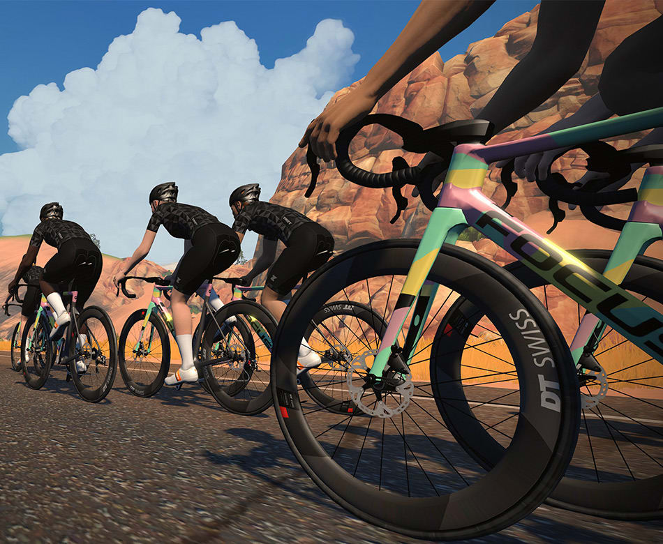 ZWIFT challenge sign in | FOCUS Bikes