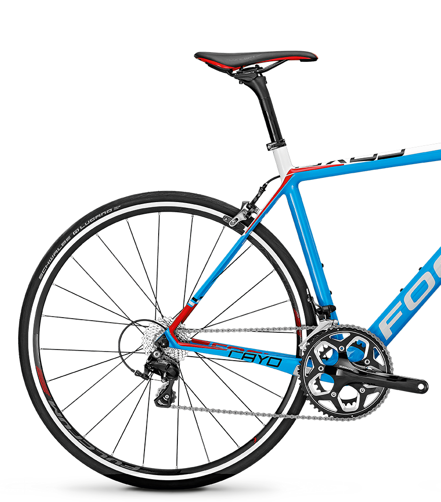 focus cayo road bike