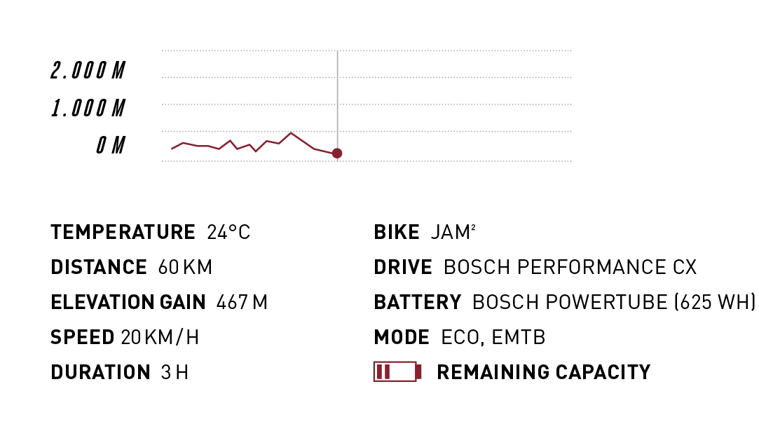 Bosch Performance Cx 2020 Focus Bikes