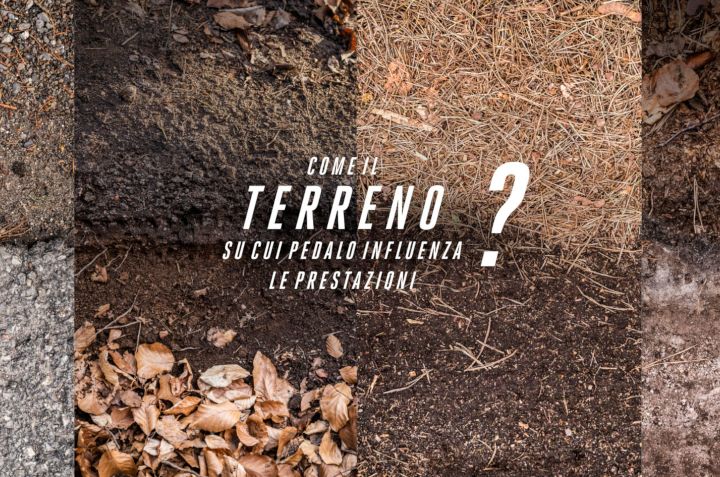 Terrain
