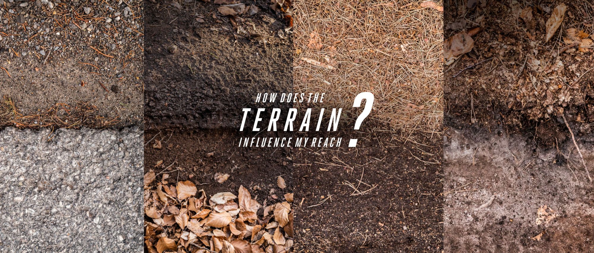 Terrain