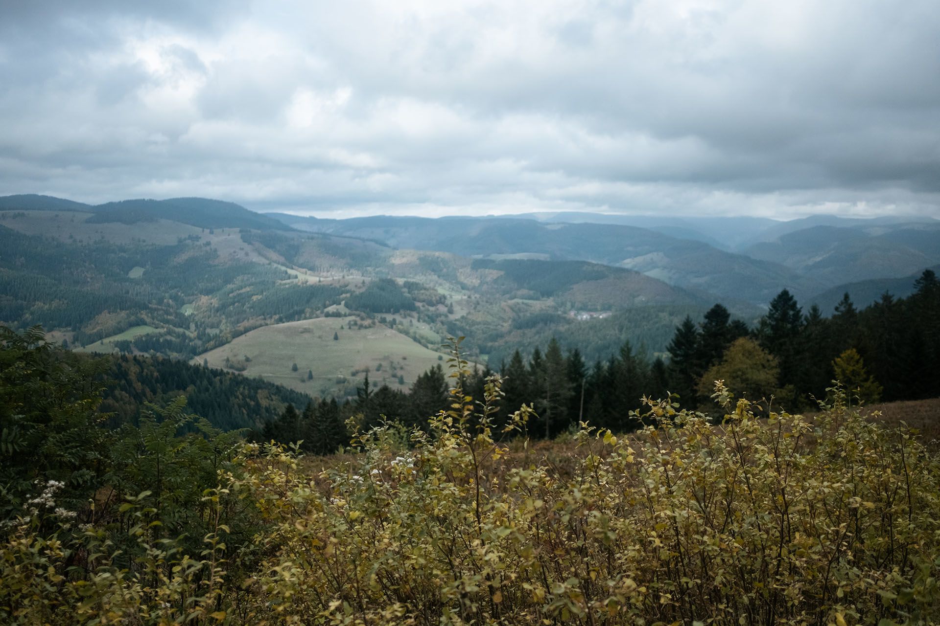 Bikepacking