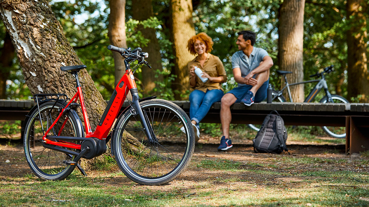 Gazelle ebike ultimate Velo electrique