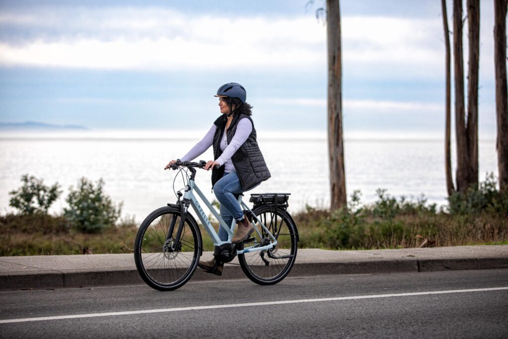 Medeo T9 Recreational Ebike