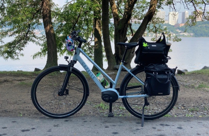 Ebike in front of trees | Gazelle Medeo T9