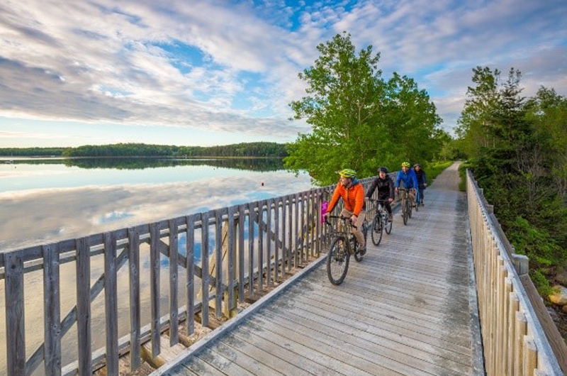 5 Places for Mountain Biking in Nova Scotia