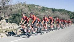 Team Sunweb, Ploeg