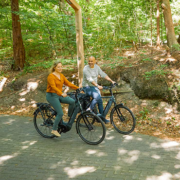 Ham Wiens Gebruikelijk Bekijk de nieuwe 2023 modellen | Gazelle fietsen