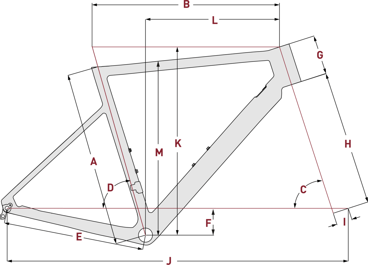 focus izalco max sizing