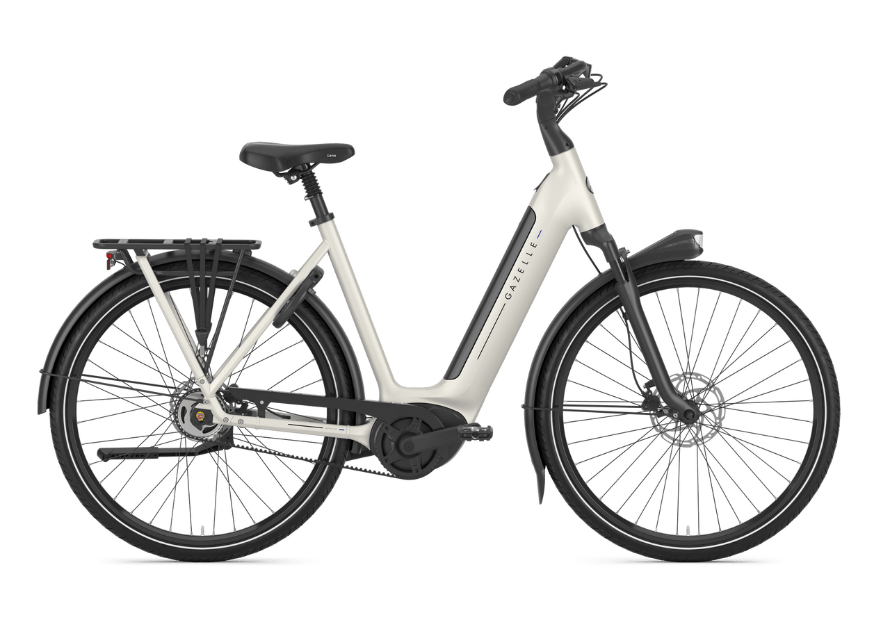electric bicycle tricycle Wow! Passengers & Cargo: The Ultimate Electric Bike! The Best 3 Wheel EBike  for Transportation