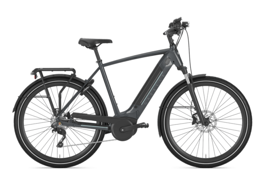 Bici elettriche da uomo | Gazelle