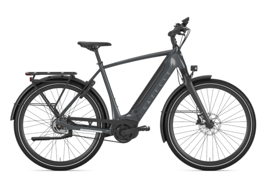 Elektrische fiets voor heren kopen? Ruim aanbod! | Gazelle