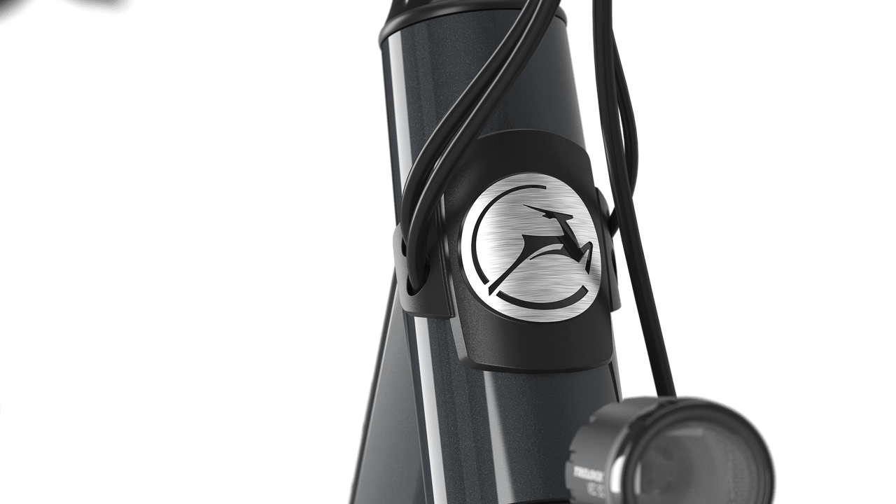 Gazelle Arroyo C7+ HMB 26" E-bike lav anthracite grey detail