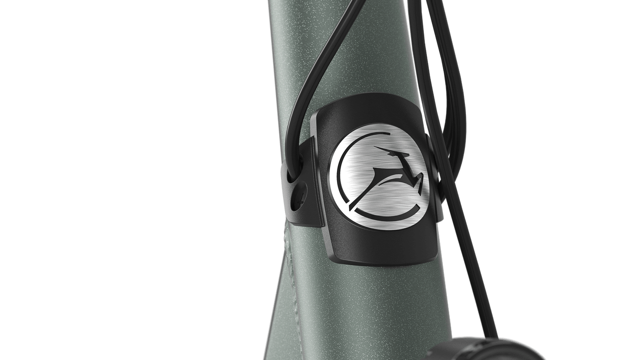 Gazelle Orange C8+ E-bike lav twilight green detail