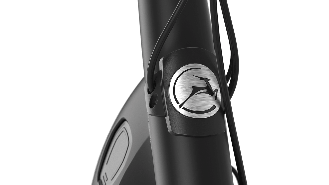 Gazelle Arroyo C8 HMB Elite E-bike low-step black detail