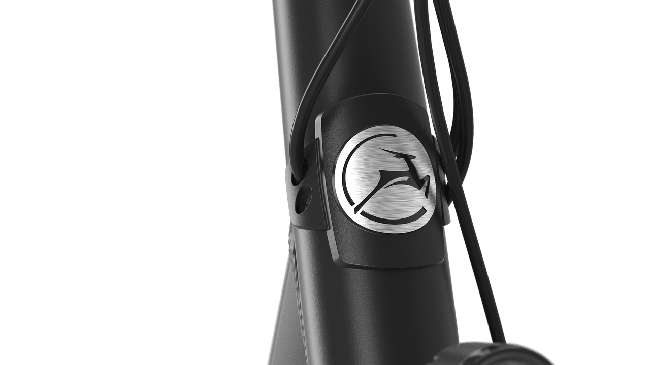 Gazelle Orange C8+ E-bike lav black detail
