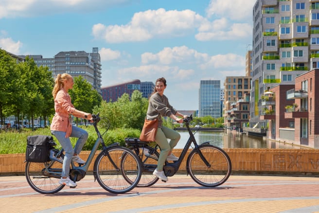 Gazelle orange c8 gewicht outlet