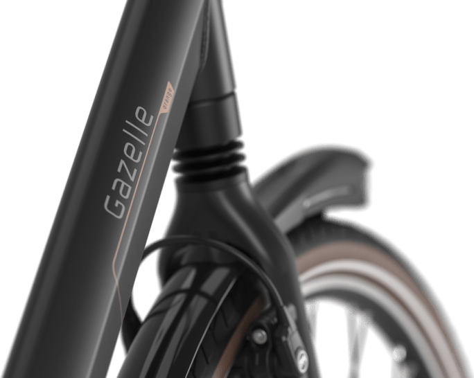 Gazelle orange on sale c8 hmb dames