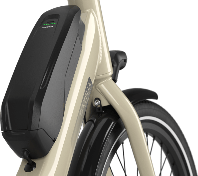 Gazelle Easyflow C7