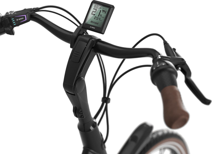 Gazelle orange discount c8 2017