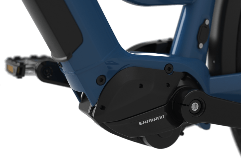 Gazelle Chamonix C5 Leistungsstarkes E-Bike mit Riemenantrieb