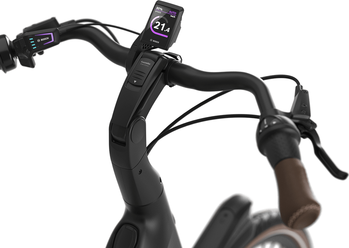 Kiox 300 Gazelle Arroyo C8+ Elite E-bike lav twilight green