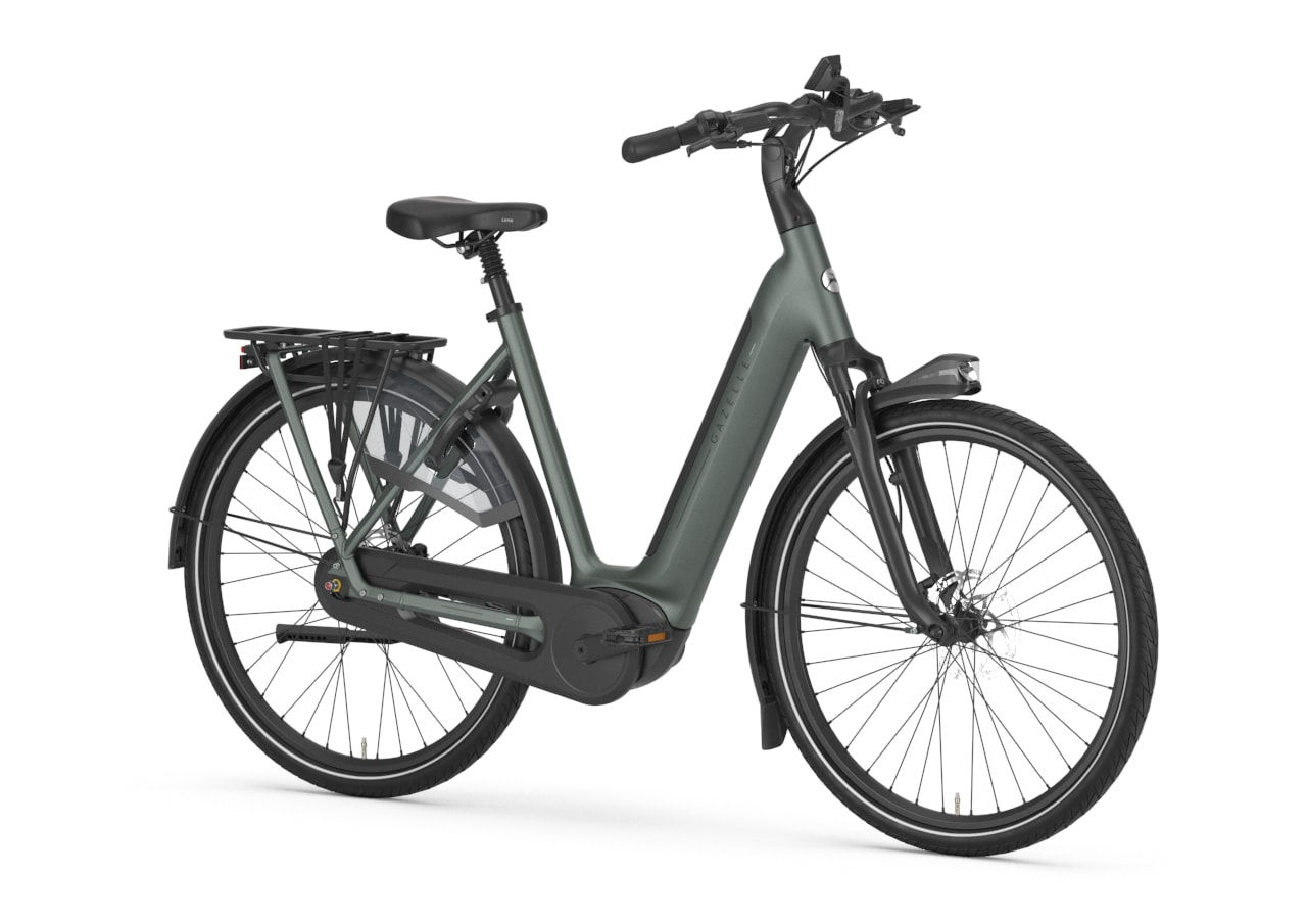 Gazelle Grenoble C8+ L twilight green detail view 0