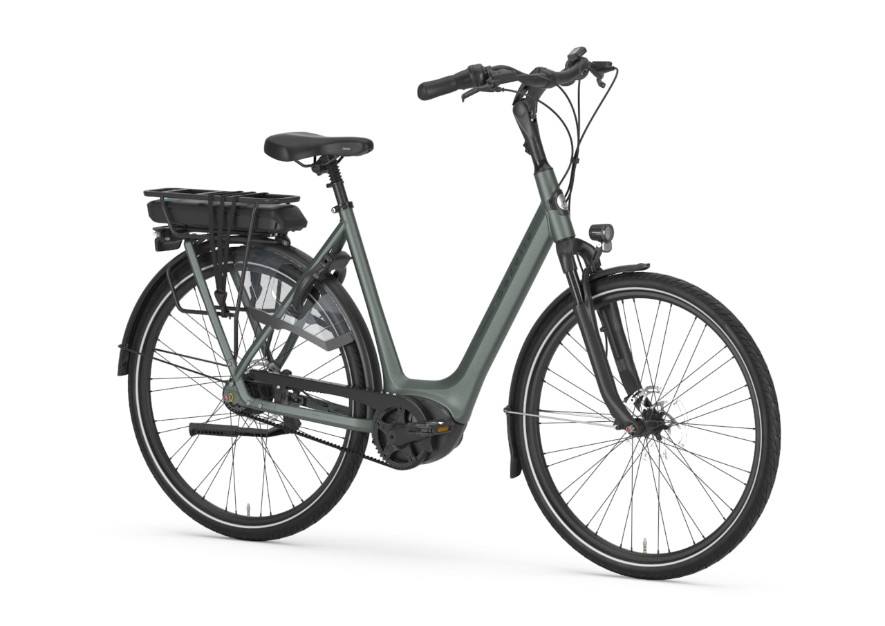 Gazelle Orange C8+ L twilight green detail view 0