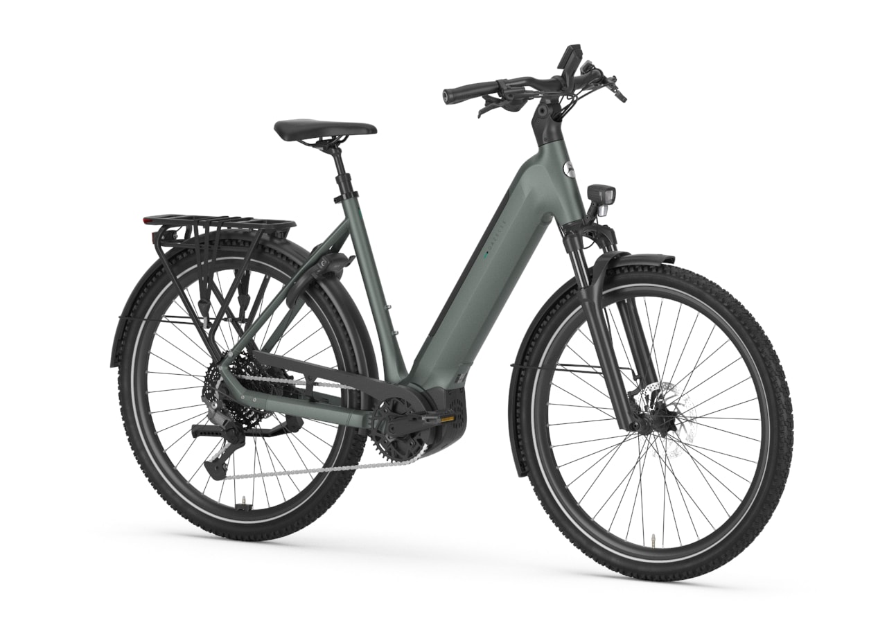 Gazelle Ultimate T11 L twilight green detail view 0