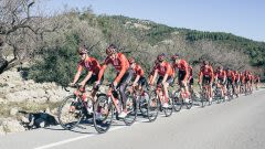 Team Sunweb, Ploeg
