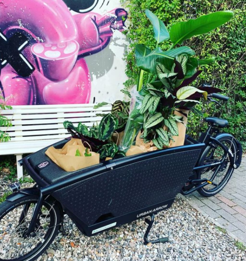 Urban Arrow
