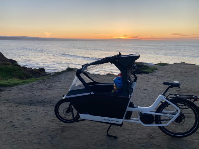 The Cargo Bike Chronicles: Stories from Urban Arrow Riders